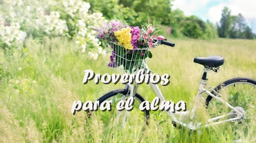 Proverbios para el alma